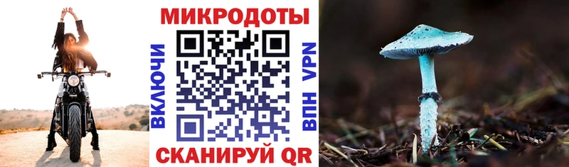 Галлюциногенные грибы MAGIC MUSHROOMS Ленск